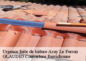 Urgence fuite de toiture  36290