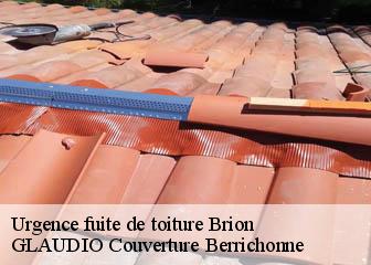 Urgence fuite de toiture  36110