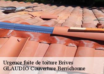 Urgence fuite de toiture  36100