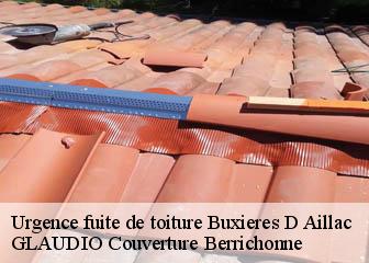 Urgence fuite de toiture  36230