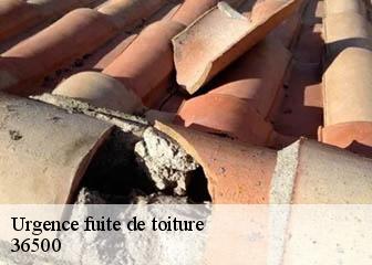 Urgence fuite de toiture  36500