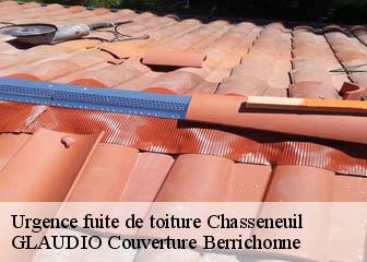 Urgence fuite de toiture  36800