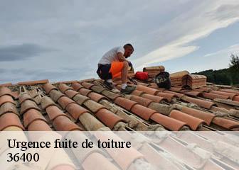 Urgence fuite de toiture