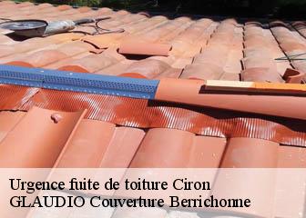 Urgence fuite de toiture  36300