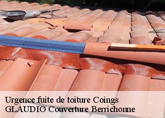 Urgence fuite de toiture  36130