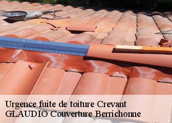 Urgence fuite de toiture  36140