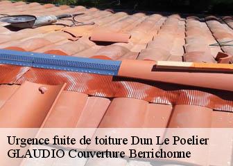 Urgence fuite de toiture  36210