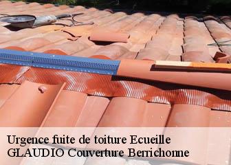 Urgence fuite de toiture  36240