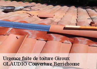 Urgence fuite de toiture  36150