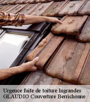 Urgence fuite de toiture  ingrandes-36300 GLAUDIO Couverture Berrichonne