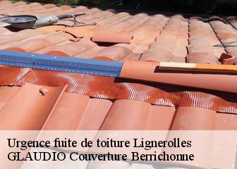 Urgence fuite de toiture  36160