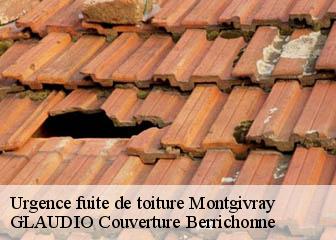 Urgence fuite de toiture