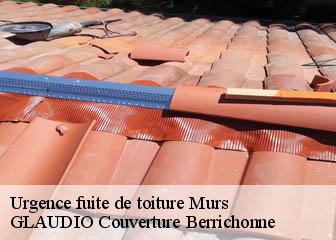 Urgence fuite de toiture  36700