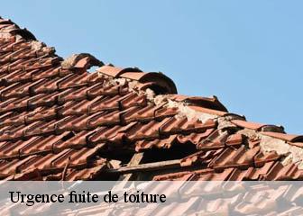 Urgence fuite de toiture