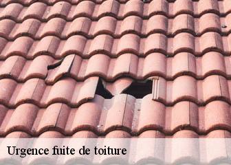 Urgence fuite de toiture