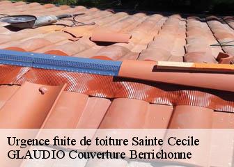 Urgence fuite de toiture  36210