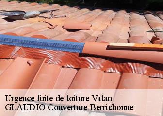 Urgence fuite de toiture  36150