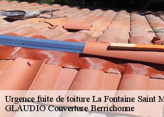 Urgence fuite de toiture  36260