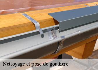 Nettoyage et pose de gouttière  36270