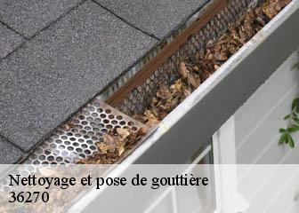 Nettoyage et pose de gouttière