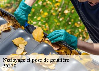 Nettoyage et pose de gouttière  36270