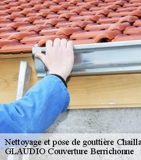 Nettoyage et pose de gouttière  chaillac-36310 GLAUDIO Couverture Berrichonne