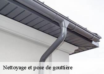 Nettoyage et pose de gouttière