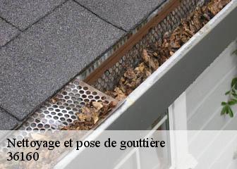 Nettoyage et pose de gouttière